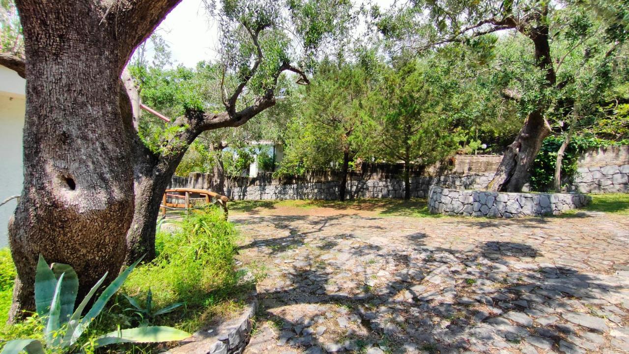 Villa Irma Marina di Camerota Exteriör bild