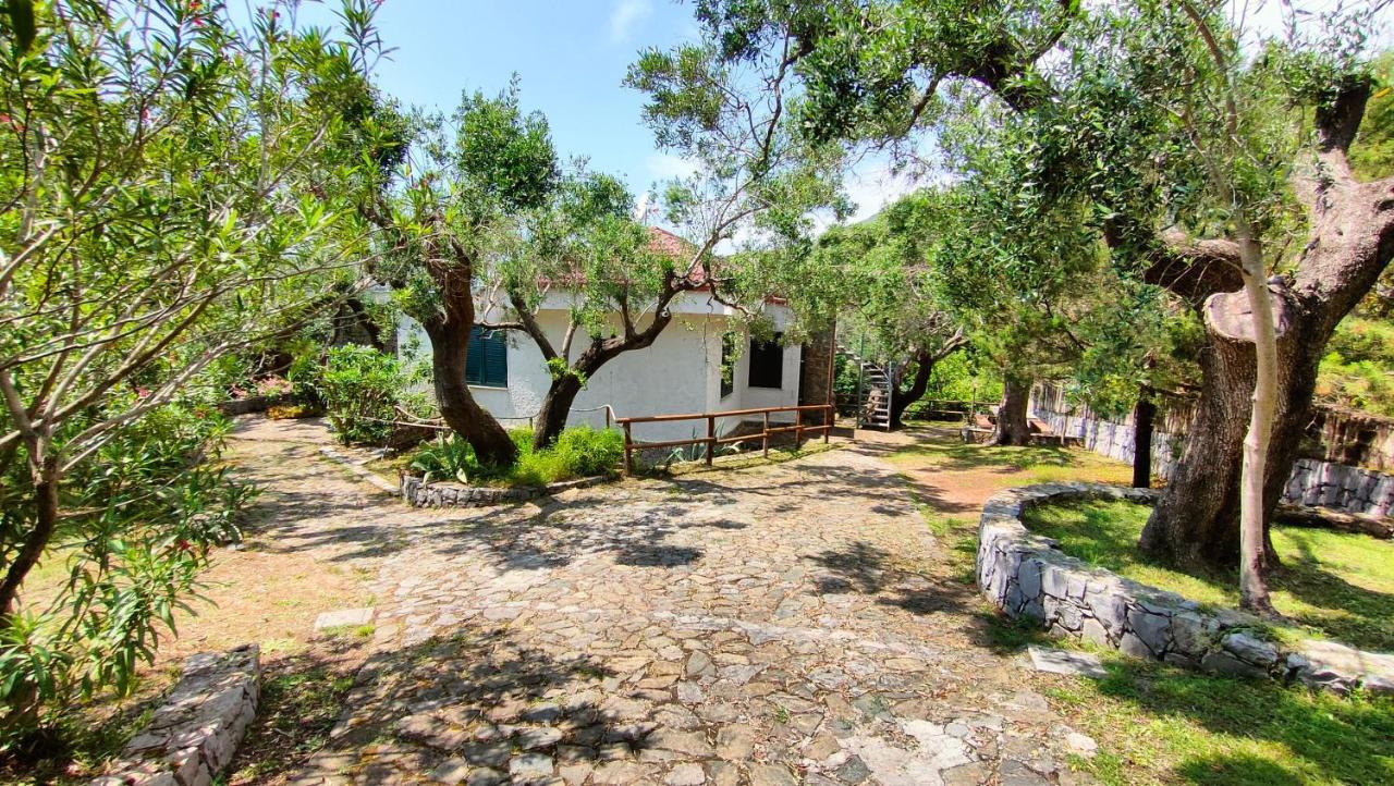 Villa Irma Marina di Camerota Exteriör bild