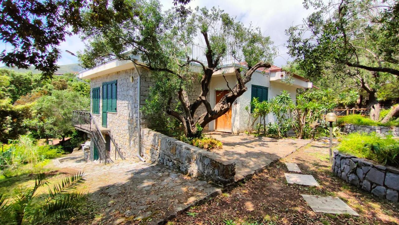 Villa Irma Marina di Camerota Exteriör bild