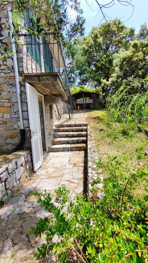 Villa Irma Marina di Camerota Exteriör bild