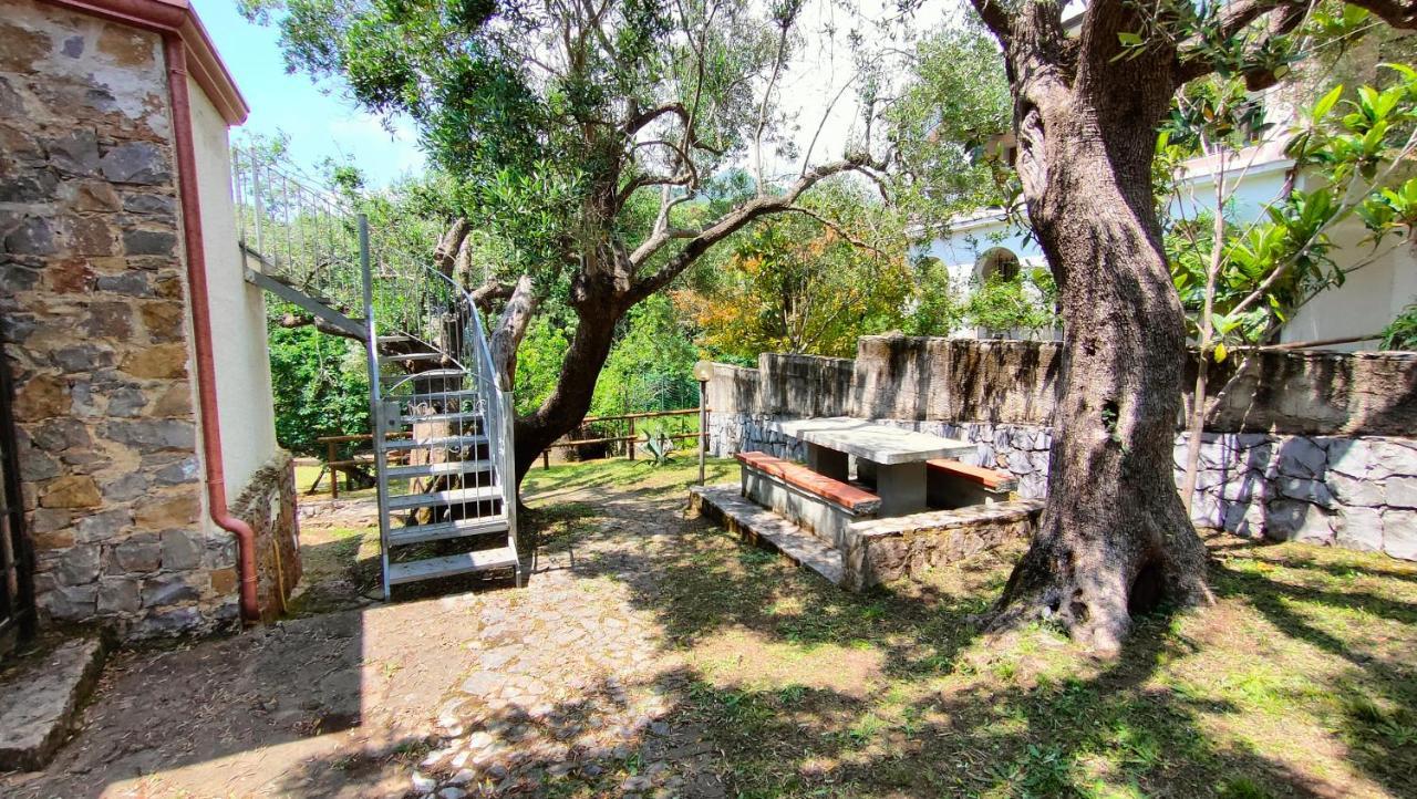 Villa Irma Marina di Camerota Exteriör bild