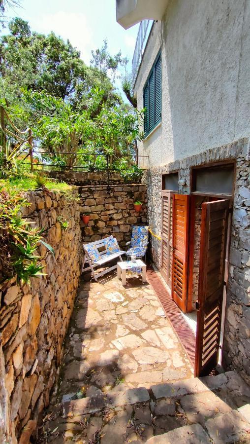 Villa Irma Marina di Camerota Exteriör bild