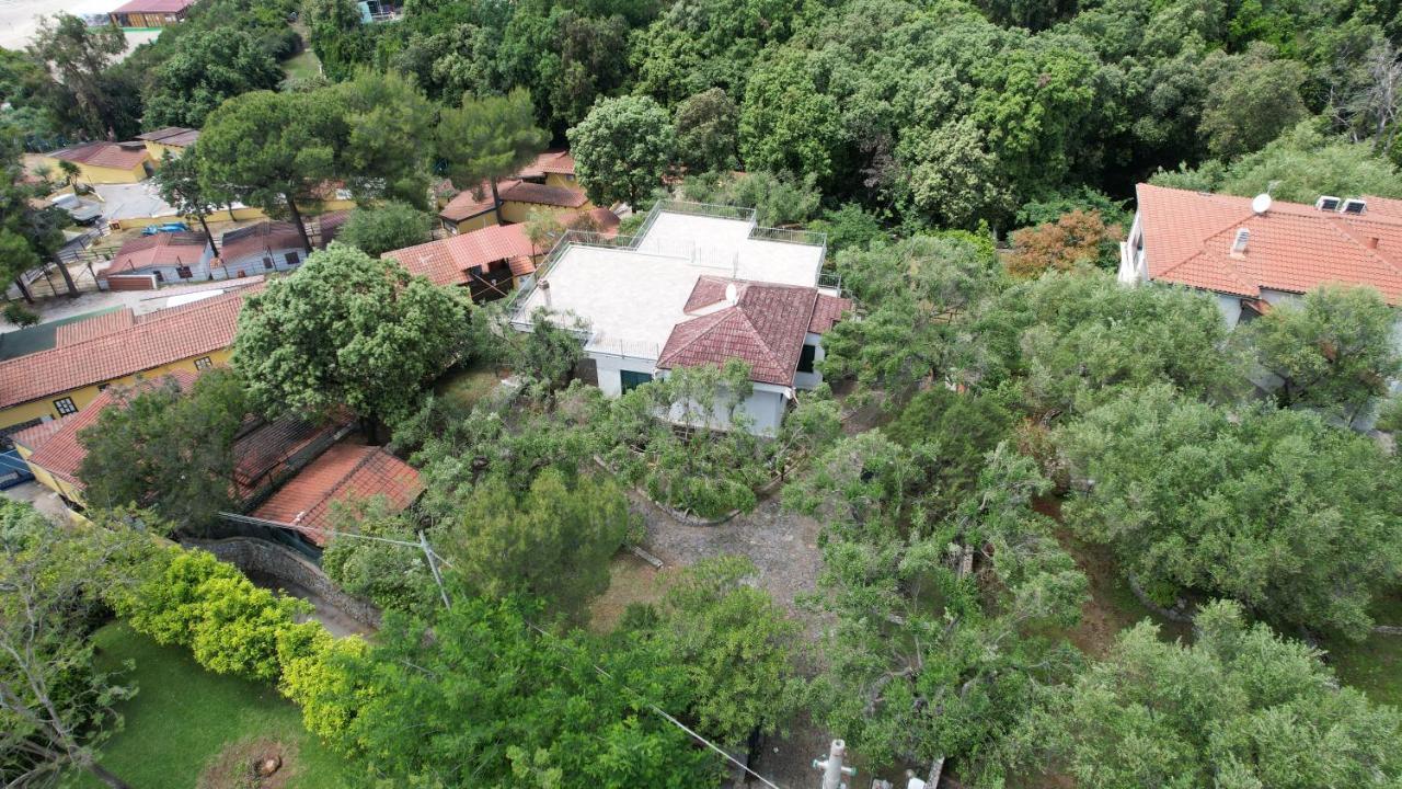 Villa Irma Marina di Camerota Exteriör bild